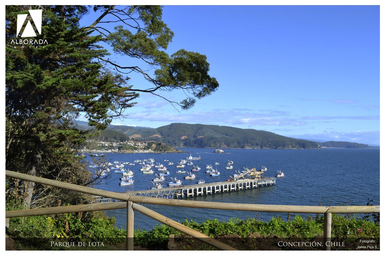 Hotel Alborada Concepción Exteriér fotografie